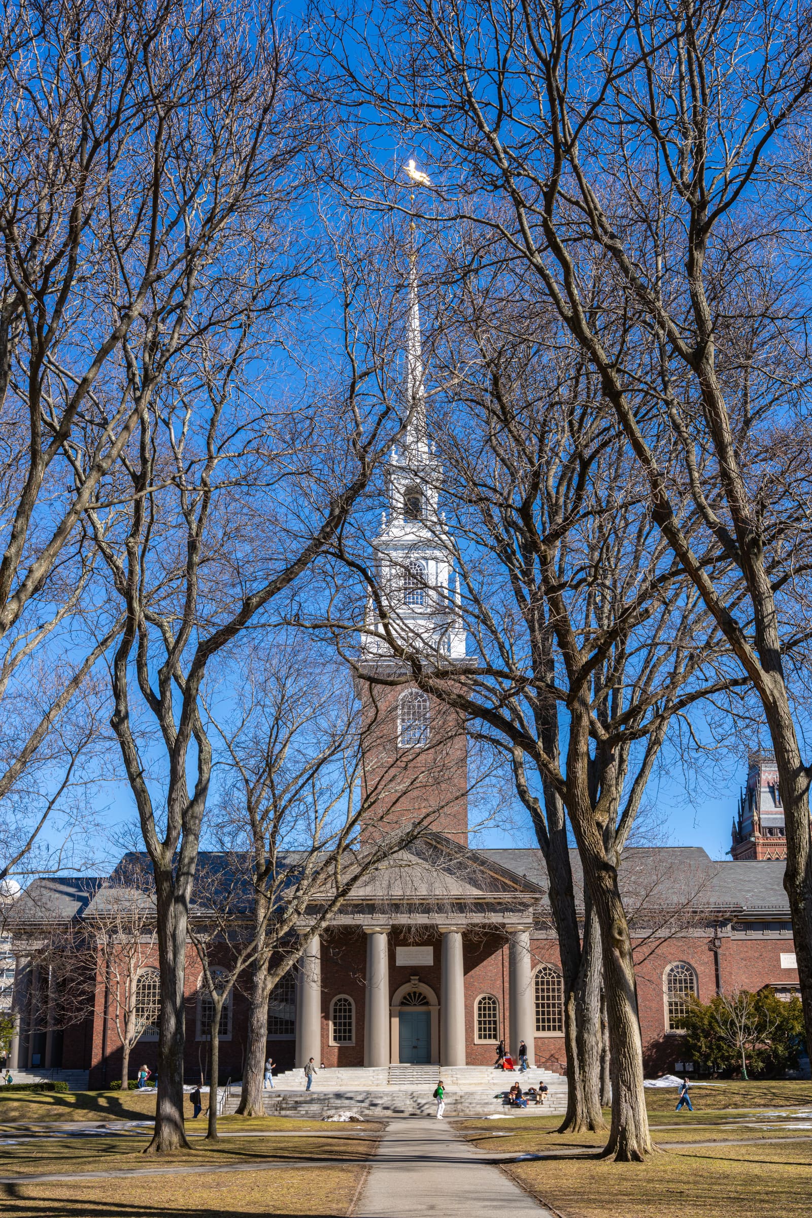 Ivy League Admissions