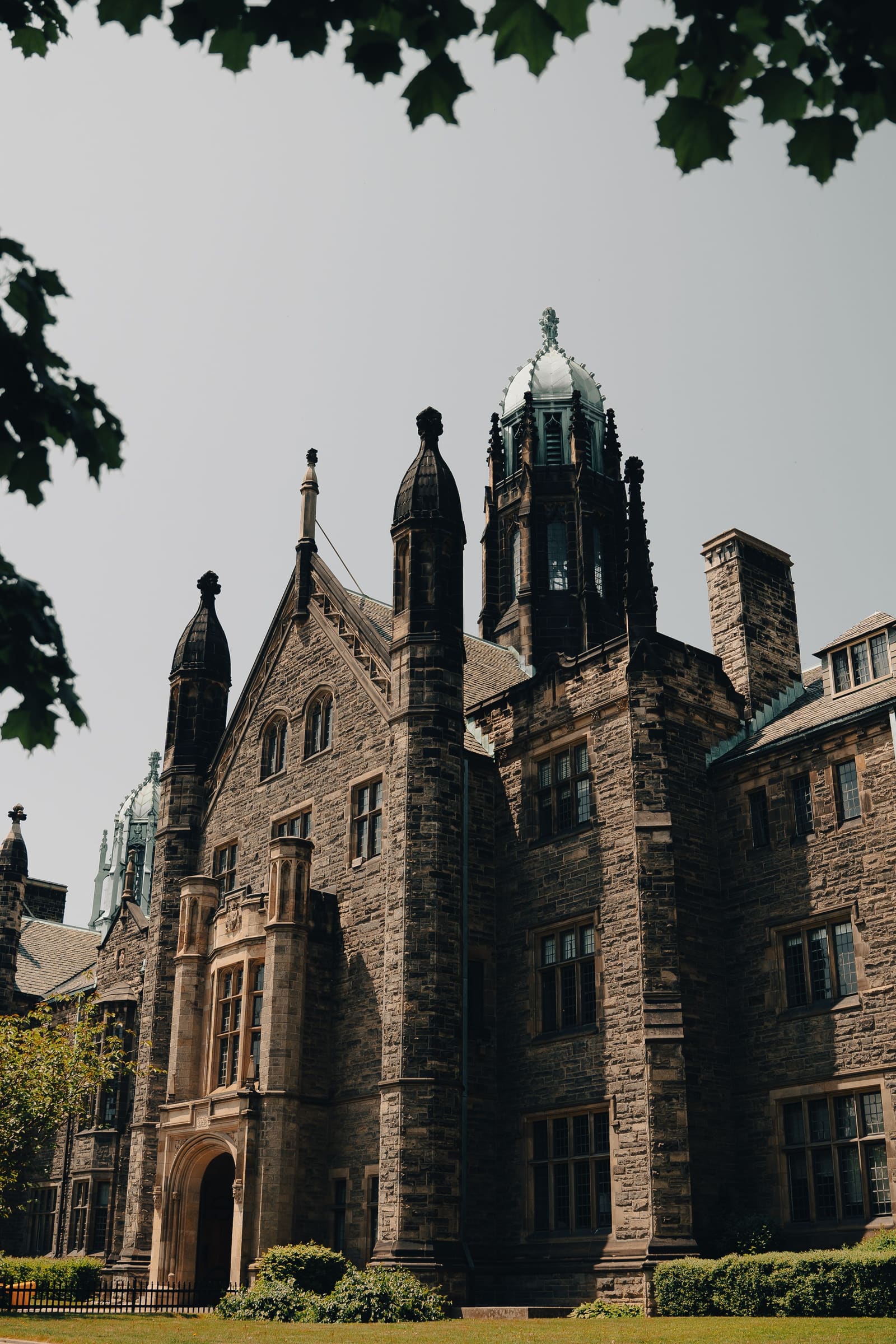 Rotman Commerce